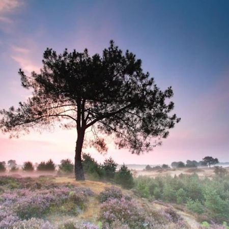 Vakantiehuis Drents-Friese Wold Bojil Buitenkant foto